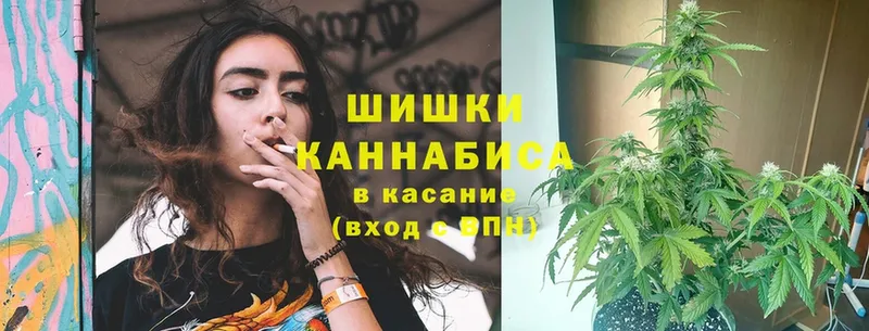 где купить наркоту  Дорогобуж  blacksprut tor  Канабис план 